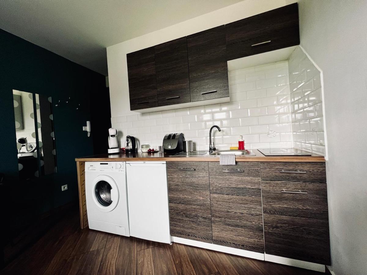 Nalu Apartments No 10&17 Katowice Eksteriør billede