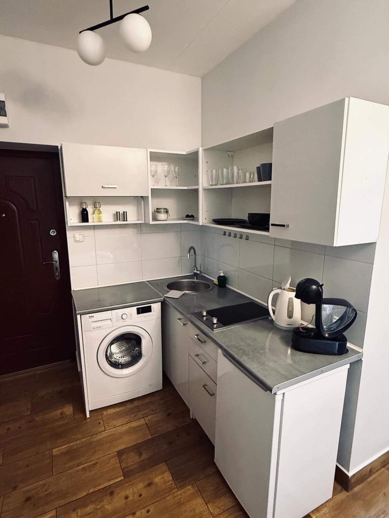 Nalu Apartments No 10&17 Katowice Eksteriør billede